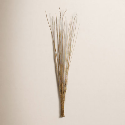 36'' Plant