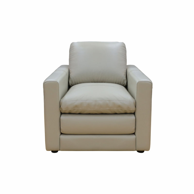 Fauteuil rembourré, fauteuil de salon avec coussin
