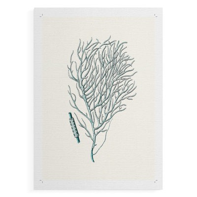 Corail antique I - reproduction de toile seulement - non encadré