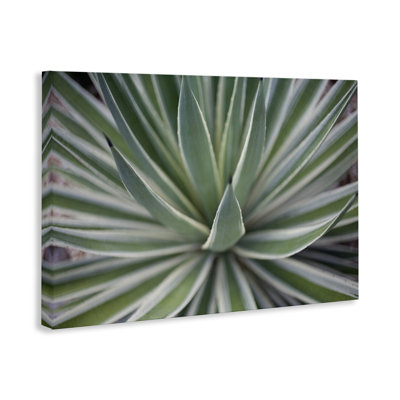 «Striped Plant Leaves», art mural sur toile par Susan Bryant