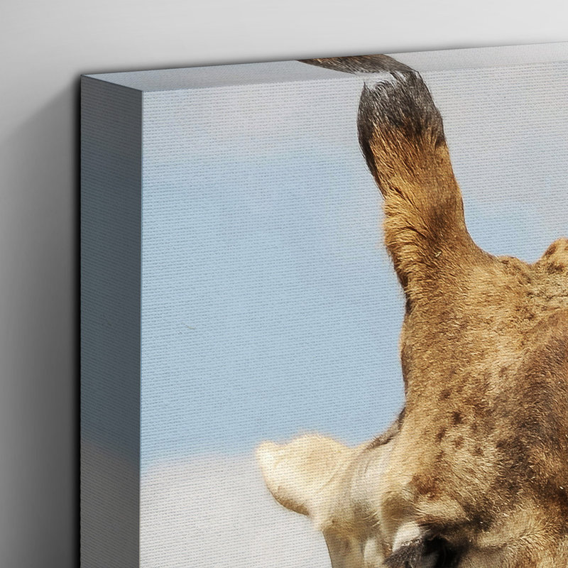 Two Giraffes Chewing Photographic - Wrapped Canvas, 35cm H x 50cm W