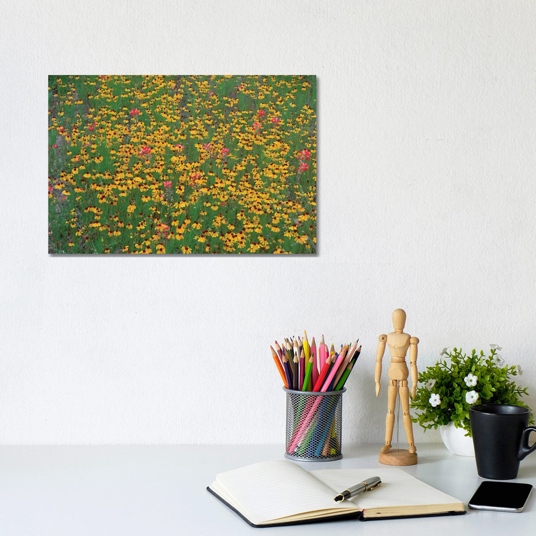 Paintbrush And Coreopsis Meadow, Hill Country, Texas von Tim Fitzharris - Gallery-Wrapped Canvas Giclée