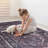 Washable Rug 2'6'' X 10' Runner Rug-362350595