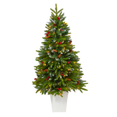 Portland Easy Set-Up 56' Lighted Christmas Tree