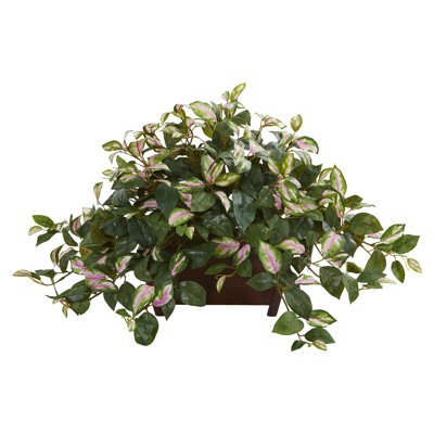 16'' Faux Hoya Plant in Wood Planter
