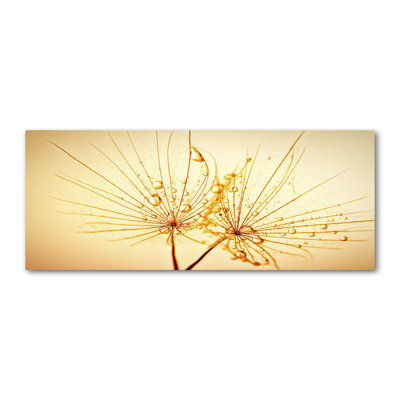 Dandelion Seeds - Wrapped Canvas Print