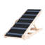 Pet Ramps-253103776