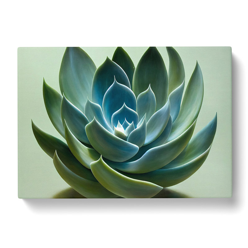 Graceful Succulent Plant - Wrapped Canvas, 35cm H x 50cm W x 3cm D