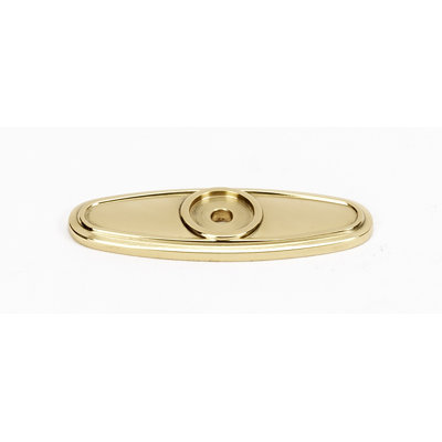 Classic Traditional Metal Knob Backplate
