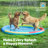 Non-Slip Splash Pad Sprinkler - Outdoor Water Toys Play Mat for Toddlers Kids Dogs-114014618-114014619