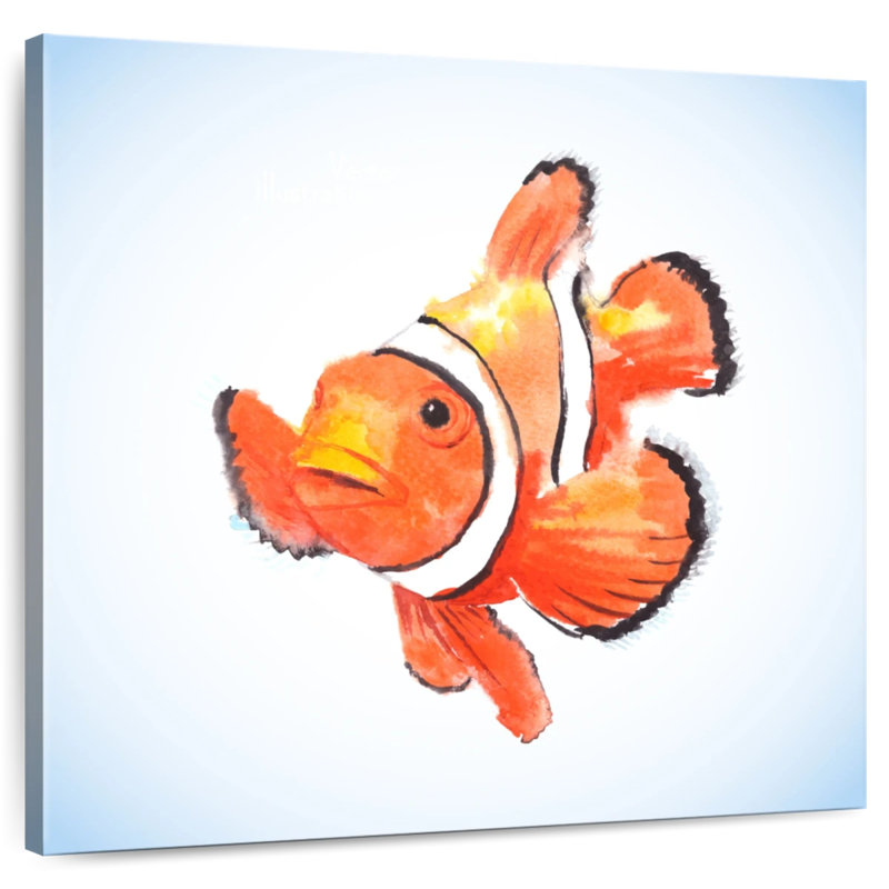 Crowle Percula Clownfish, 10" H x 10" W