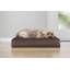 Coussin orthopédique Snuggle NAP Deluxe-1537794345-1577706407