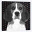 «Beagle», reproduction sur toile-31856020-73220080-73220082