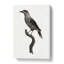Nutcracker Bird by Jacques Barraband - Wrapped Canvas-55360085