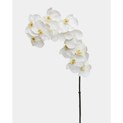 Large White Orchid Phalaenopsis 34"