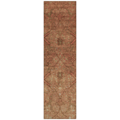 Machine Washable Indoor/Outdoor Efimenko ACN2299 Global Rug