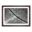 Road Through the Winter Forest - Picture Frame Graphic Art Print-55758708-55758714