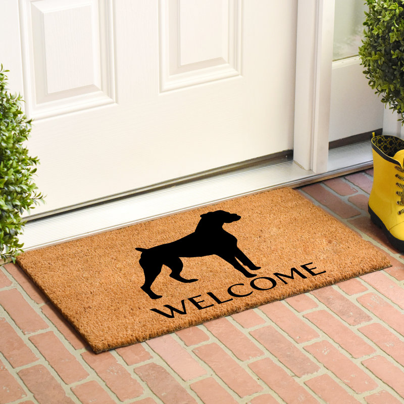 Tapis de porte d’extérieur antidérapant boxer Gavrilin, L 0,6 po x l 36 po x P 24 po