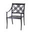 Edge Patio Dining Armchair with Cushion-69945743