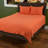 Moroccan Fling Modern & Contemporary Cotton Quilt-15692571-15692569
