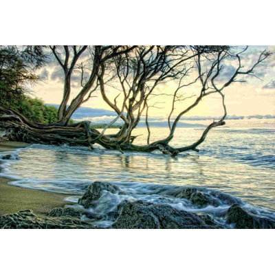 Reaching For The Sea II