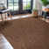 Brown Indoor/Outdoor Rug