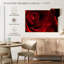 Rose rouge fraîche-1042362885-1042362911