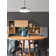 Levine 48'' Ceiling Fan with LED Lights