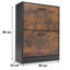 Blisswood 2 Drawer Shoe Storage Cabinet-855447470