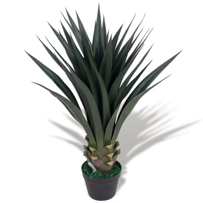 85cm Yucca Plant in Pot