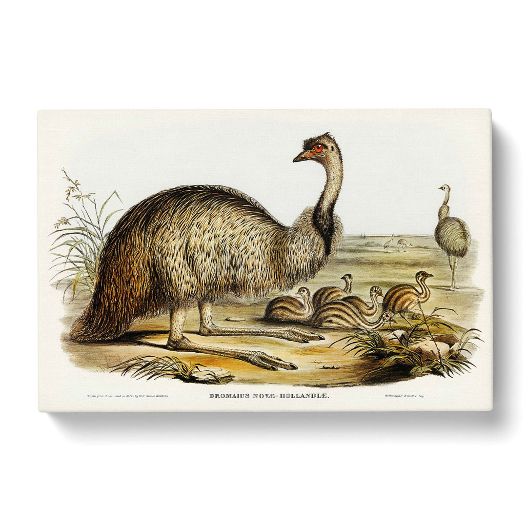 The Emu by Elizabeth Gould - Wrapped Canvas