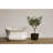 Mcfarland Decorative Terra-cotta Cache Pot
