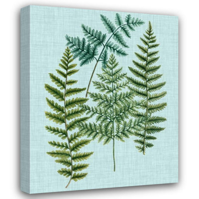 Art sur toile tendue Red Barrel Studio® Weinmann Gallery: Spa Ferns II