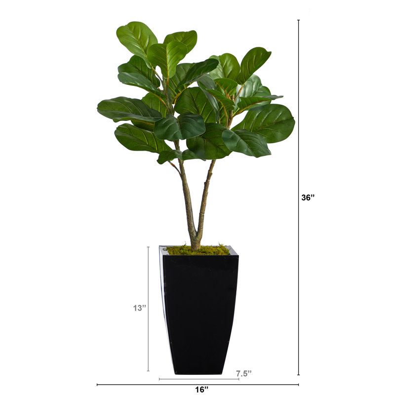 Figuier artificiel en pot, H 36 po x l 16 po x P 14 po, Noir