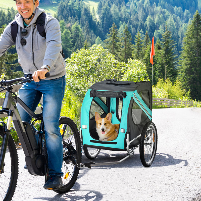 Pet Carrier, Turquoise