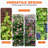 Garden trellis , durable metal material for supporting climbing plants,outdoor use-24830926-24830920