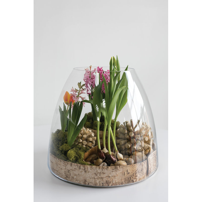 Handmade Glass Terrarium