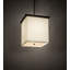 Luminaire suspendu carré / rectangulaire unique à 2 lumières Spalding