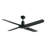 52" Wet Rated Outdoor Ceiling Fan with Remote Control, Modern Black Patio Ceiling Fan-793165843