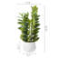 Artificial Plant