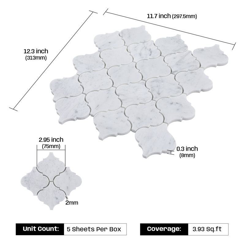 Carrelage mosaïque en marbre blanc de 3 pouces Adolif de Carrare, 5 feuilles, 3,9 pieds carrés Adolif