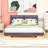 Queen Upholstered Platform Bed with Sensor Light and Floating Design-1511551176