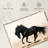 Black Stallion-107670676