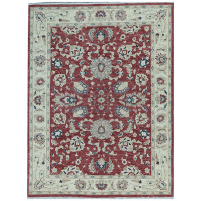 Hand Woven Cotton and Wool Oriental Area Rug