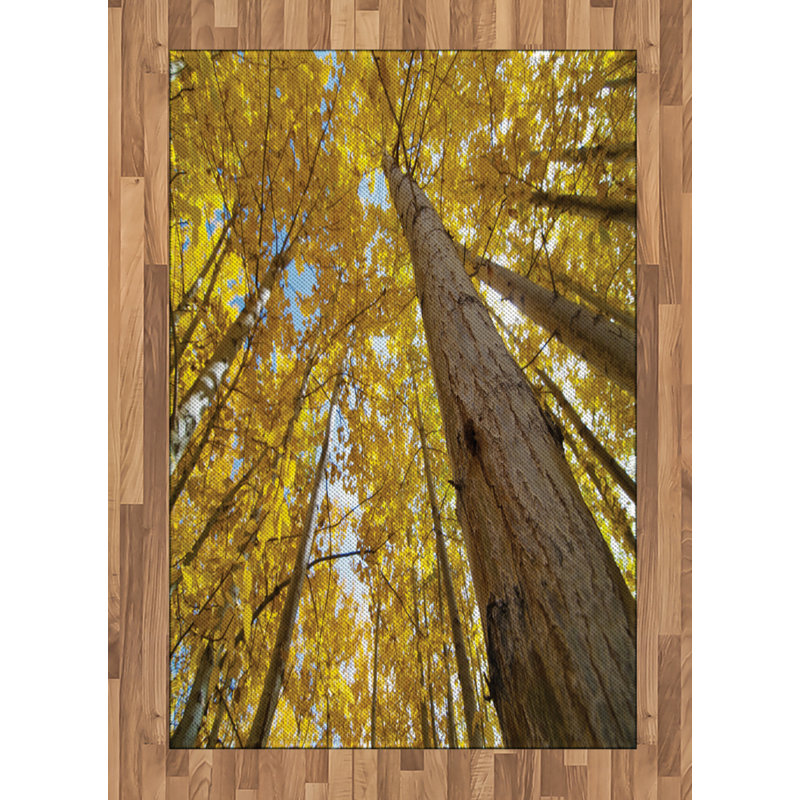 Scenery High Density Long Fiber Poly Threads Decorative Area Rug Carpet, Rectangle 4' x 5'8"