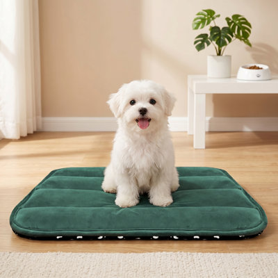 Coussin réversible pour cage de chien avec passe-partout lavable et mousse souple, lit plat pour chien et chat, vert, L 23 po x l 14 po x P 1,5 po, pour les caisses, les transporteurs et les voyages