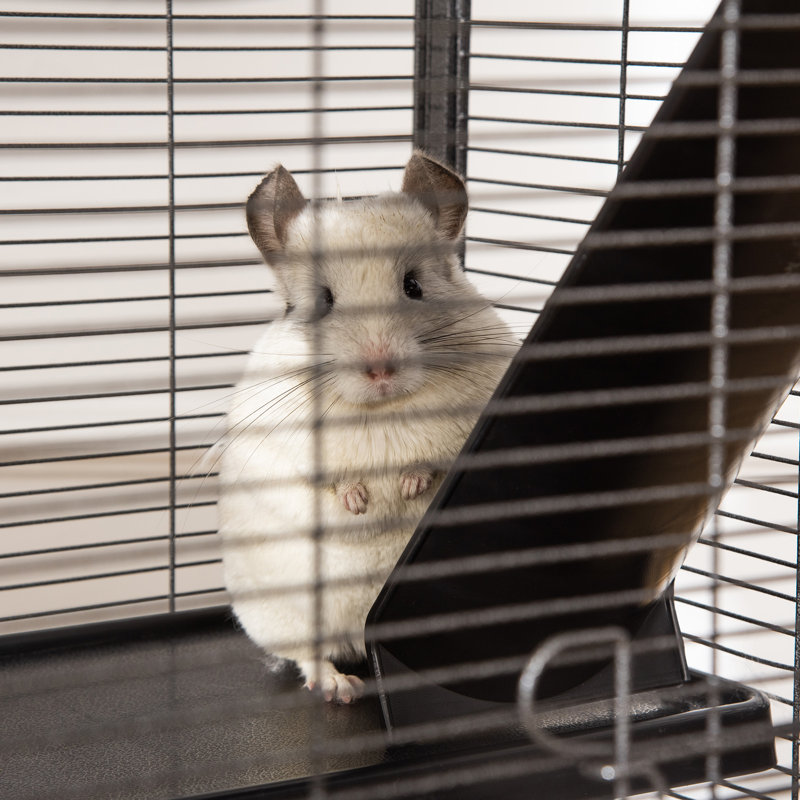 Small Animal Cage with Wheels for Chinchillas Ferrets Light Silver
