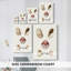 Coquillages pastel en coquille Knorr-108829778