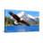 Animals Bald Eagle Soaring Over Mountain Lake-425473117