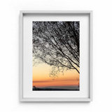 Sunset Tree Print by Joseph Regan